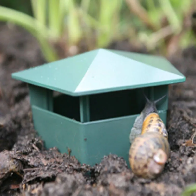 Snail & Slug Trap